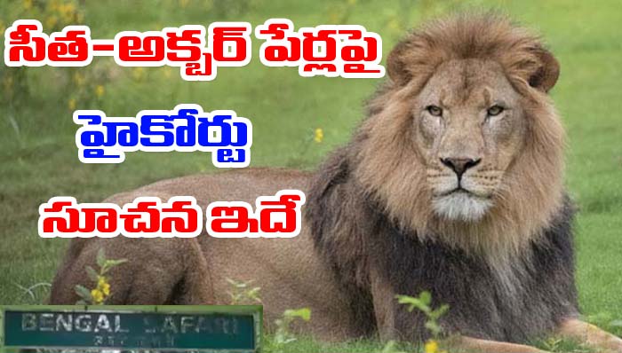 Sita and Akbar: సింహాల పేర్లపై బెంగాల్‌ హైకోర్టు కీలక సూచన