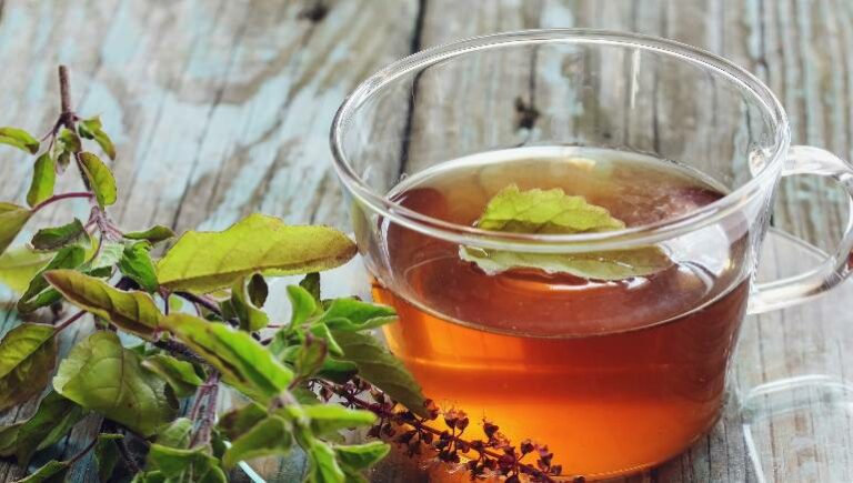 Health Tips : పరగడుపున తులసి నీళ్లను తాగితే ఎన్ని ప్రయోజనాలో తెలిస్తే ఆశ్చర్యపోతారు..