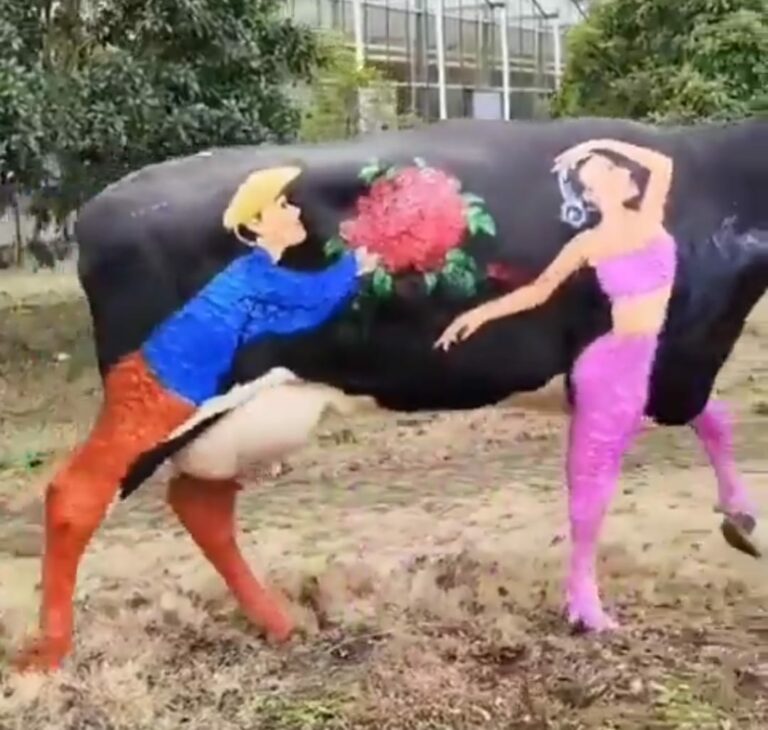 Viral Video : ఏం క్రియేటివిటి రా బాబు.. ఇలాంటి ఐడియాలు ఎలా వస్తాయి..