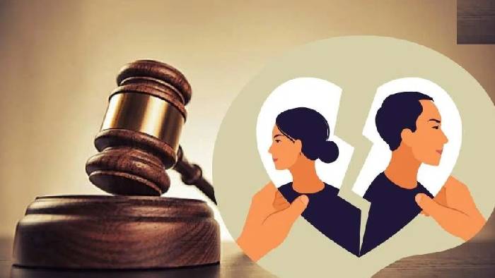 Delhi High Court: ఆర్థిక పరిమితికి మించి భార్య కోరికలు కోరడం.. భర్తను మానసిక ఒత్తిడికి గురిచేయడమే..