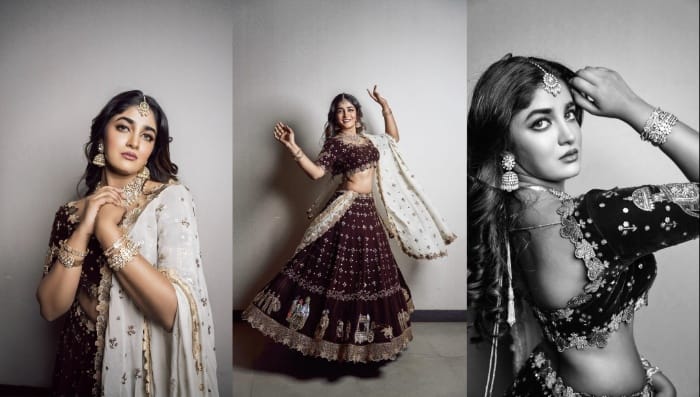 Dimple Hayathi : ట్రెడిషనల్ లుక్ లో డింపుల్ హయతి.. మైండ్ బ్లాక్ చేస్తున్న స్టిల్స్..