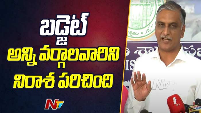 Harish Rao: కొండంత ఆశలు చూపి గోరంత కూడా బడ్జెట్ ఇవ్వలేదు..