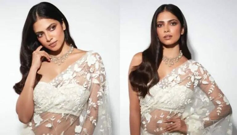 Malavika Mohanan: ఉల్లిపొరలాంటి చీరలో ఆకట్టుకుంటున్న మలయాళి ముద్దుగుమ్మ..