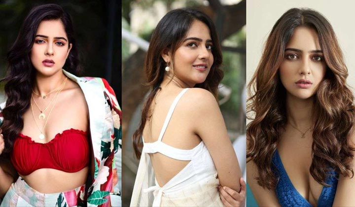 Malvi Malhotra: స్టార్ డైరెక్టర్ విక్రమ్ భట్ నన్ను మోసం చేశాడు.. హీరోయిన్ సంచలన వ్యాఖ్యలు