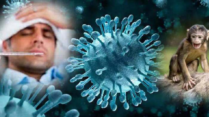 Monkey Fever Cases: కర్ణాటకలో 31 “మంకీ ఫీవర్” కేసులు నమోదు.. అసలేంటీ వ్యాధి, దాని లక్షణాలు ఏంటి..?