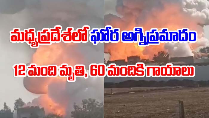 Madhya Pradesh: బాణాసంచా ఫ్యాక్టరీలో భారీ పేలుడు.. 12మంది మృతి