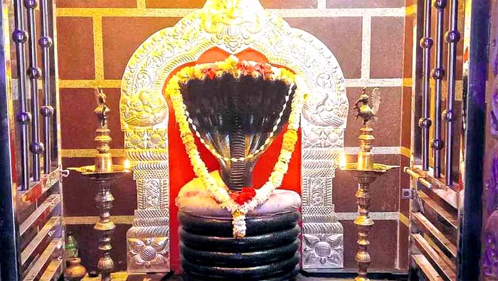 Nagoba Jatara