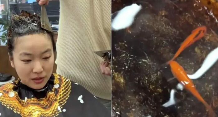 Viral Video: బాబోయ్ ఇలాంటి హెయిర్ స్టైల్ నెవర్ బీఫోర్.. వీడియో చూస్తే నవ్వకుండా ఉండరు..