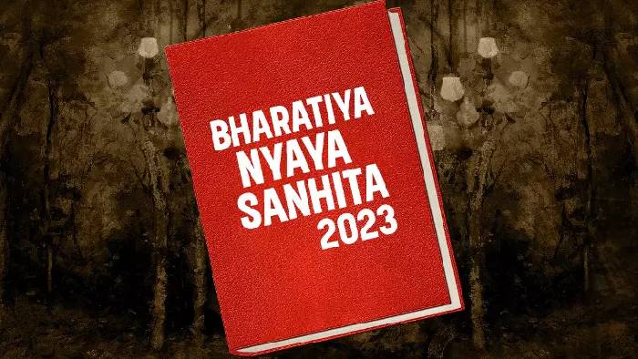 New Criminal Laws: జూలై 1 నుంచి కొత్త క్రిమినల్ చట్టాలు.. ఇక అత్యాచారం, ఉగ్రవాదాని పాల్పడాలంటే వణుకు పుట్టాల్సిందే..