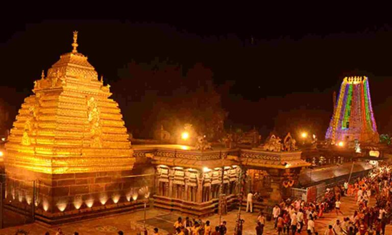 Srisailam : శ్రీశైలం ప్రసాదంలో చికెన్ ముక్క.. అధికారుల తీరు పై భక్తుడి అసహనం..