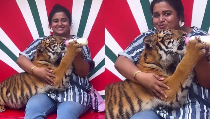 Sreevani: పులికి పాలు తాపిస్తున్న బుల్లితెర నటి.. మండిపడుతున్న నెటిజన్స్..