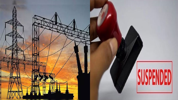 Suspension: విద్యుత్ సరఫరాలో నిర్లక్ష్యం.. ఇద్దరు డీఈలపై వేటు