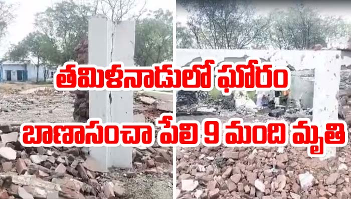 Tamil Nadu: తమిళనాడులో ఘోరం.. బాణాసంచా పేలి 9 మంది మృతి