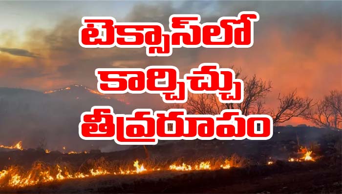 USA: టెక్సాస్‌లో చల్లారని కార్చిచ్చు.. భారీగా ఆస్తులు బుగ్గిపాలు