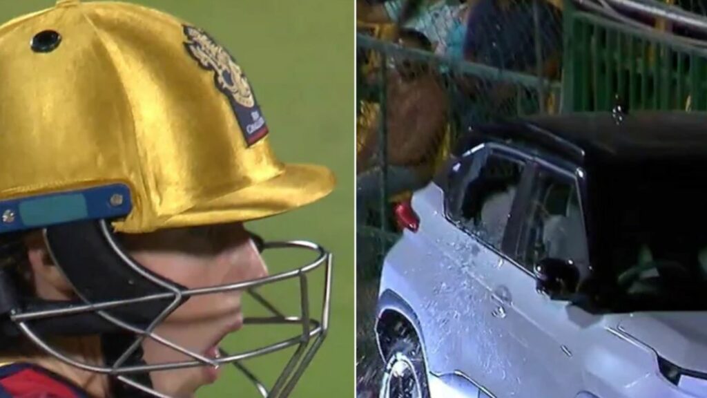 Ellyse Perry Car Glass