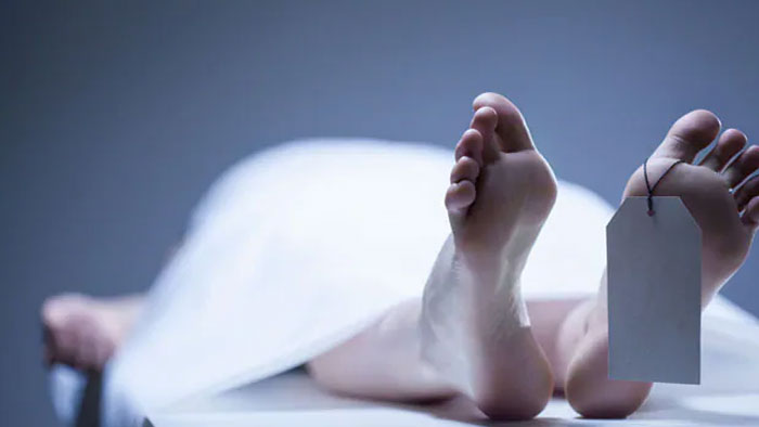 Krishnapatnam Port: కృష్ణపట్నం పోర్టులో విషాదం.. ఇద్దరు ఉద్యోగులు దుర్మరణం