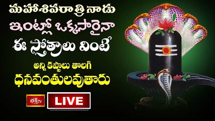 Maha Shivratri 2024 Special Stotras: మహాశివరాత్రి నాడు ఇంట్లో ఒక్కసారైనా ఈ స్తోత్రాలు వింటే చాలు..