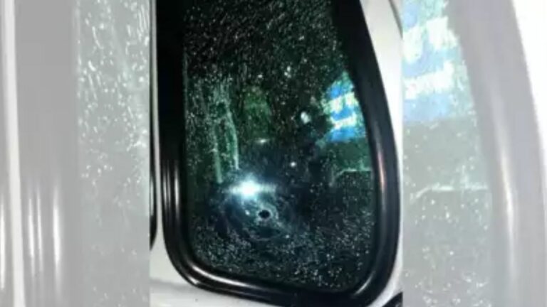 Nagpur Bus Driver: చేతికి బుల్లెట్‌ గాయం.. 30 కిమీ బస్సు నడిపిన డ్రైవరు! 35 మంది సేఫ్