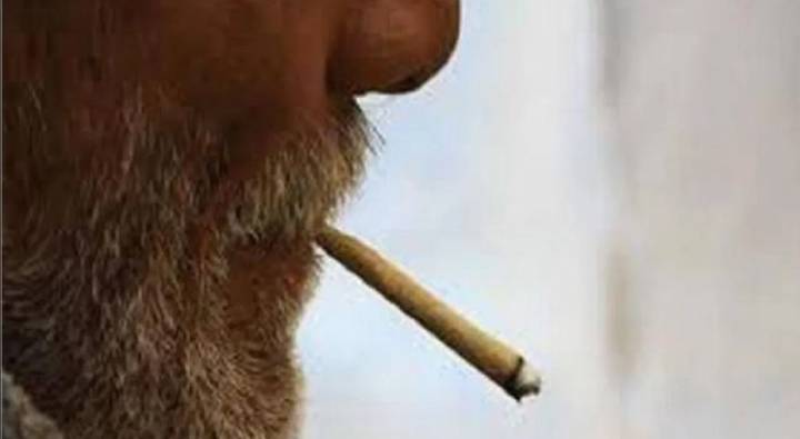 Madhyapradesh : మల విసర్జన చేస్తూ డ్రైవర్ వేసిన బీడీ.. వందల హెక్టార్ల అడవి బుగ్గిపాలు