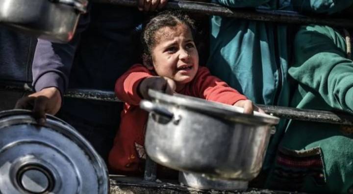 Gaza : గాజాలో విషాదం.. ఆహార ప్యాకెట్లు మీద పడి ఐదుగురి మృతి.. పలువురికి గాయాలు