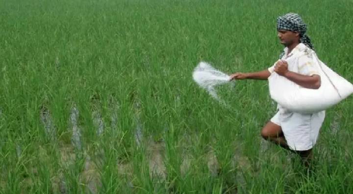 Farmers : రైతులకు శుభవార్త.. ఎరువులపై రూ.24,420కోట్ల సబ్సిడీ