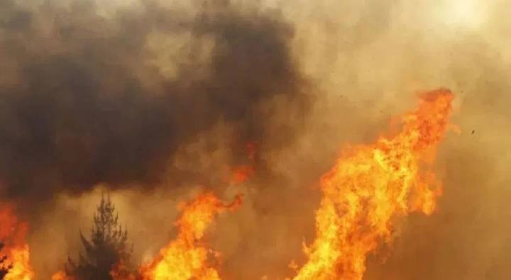 Pakistan : కేఎఫ్ సీ అవుట్ లెట్ కు నిప్పు పెట్టిన పాలస్తీనా మద్దతుదారులు