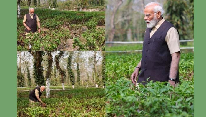 PM Modi: అస్సాం టీ గార్డెన్‌ను ఆస్వాదించిన మోడీ