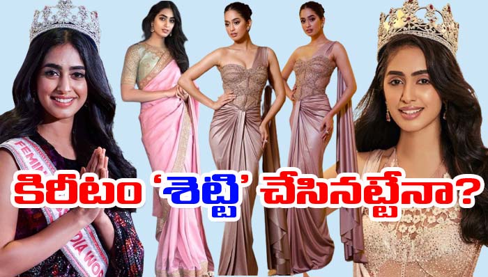 Sini Shetty: మిస్ వరల్డ్‌కు పోటీపడుతున్న సినీ శెట్టి ప్రస్థానమిదే!