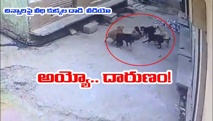 Dogs attack: బాలికపై కుక్కలు మూకుమ్మడి దాడి.. వీడియో వైరల్