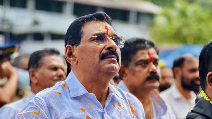 Pulwama attack: పుల్వామా దాడి వెనక పాకిస్తాన్ ప్రమేయం లేదు.. కాంగ్రెస్ ఎంపీ వివాదాస్పద వ్యాఖ్యలు..