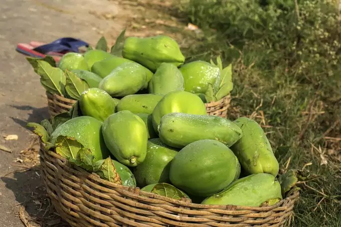 Papaya Benefits : బొప్పాయి పాలను ఇలా వాడితే ఆ సమస్యలు దూరం..