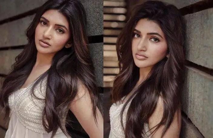 Sreeleela : అదిరిపోయే లుక్ లో శ్రీలీలా కిర్రాక్ పోజులు..