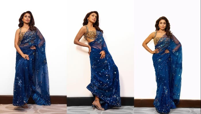 Shriya Saran : బ్లూ శారీలో శ్రీయా శరన్ స్టన్నింగ్ పోజులు..