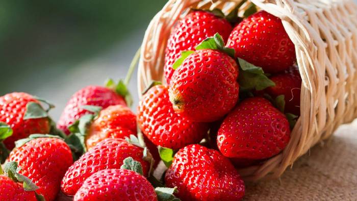 Strawberries: స్ట్రాబెర్రీ తిని 8 ఏళ్ల బాలుడి మృ‌తి..