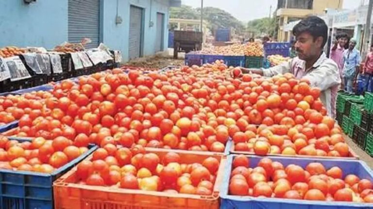 Tomato Price : భారీగా పెరుగుతున్న టమోటా ధరలు.. కిలో ఎంతంటే?
