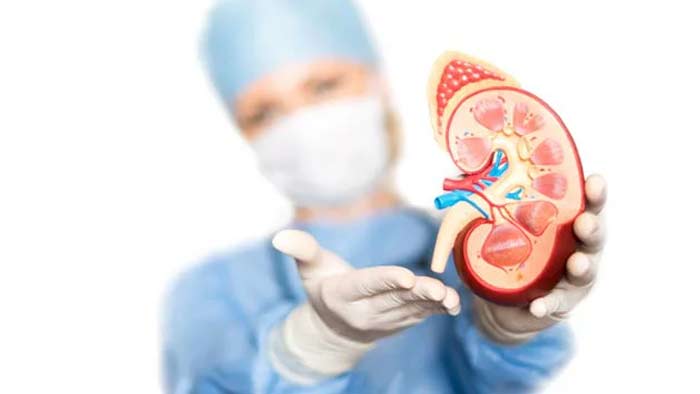 World Kidney Day 2024: పిల్లలలో పెరుగుతున్న కిడ్నీ వ్యాధులు.. ఈ సంకేతాల ద్వారా గుర్తించవచ్చు!