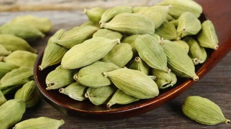 Health Tips : ఖాళీ కడుపుతో యాలుకలను తీసుకోవడం వల్ల కలిగే ప్రయోజనాలు ఏంటో తెలుసా?