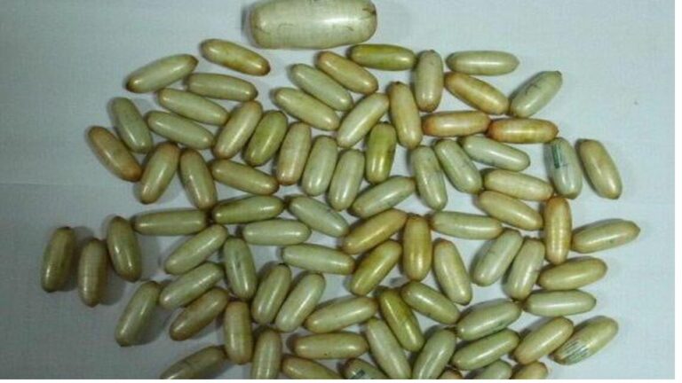 Smuggle Cocaine: అచ్చం సినిమాలో లాగే.. వ్యక్తి కడుపులో 11 కోట్ల కొకైన్ క్యాప్సూల్స్ స్మగ్లింగ్..!