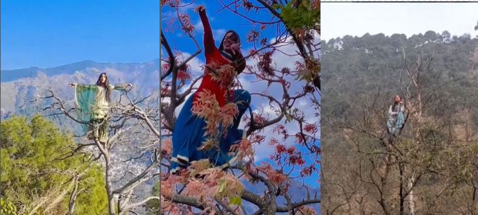 Viral Video: నీ రీల్స్ పిచ్చి తగలెయ్య.. రీల్స్ కోసం ఏకంగా చెట్టు పై..?!