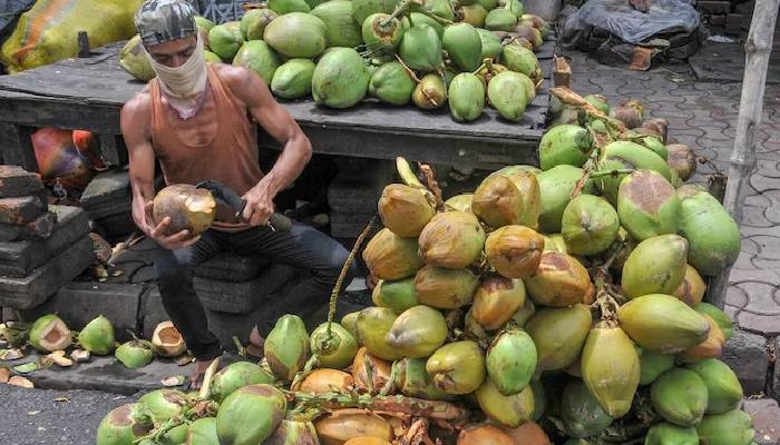 Coconut