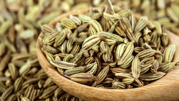 Fennel Seeds