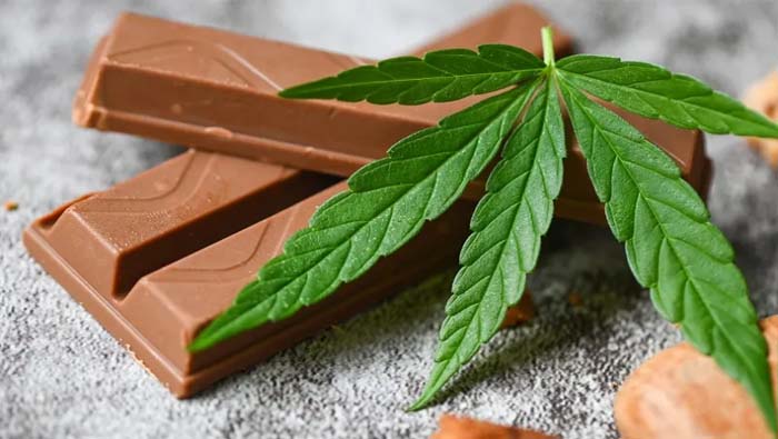 Ganja Chocolates: నగరంలో మళ్లీ గంజాయి చాకెట్లు కలకలం..