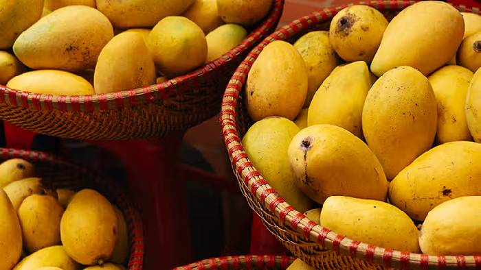 Mango Production