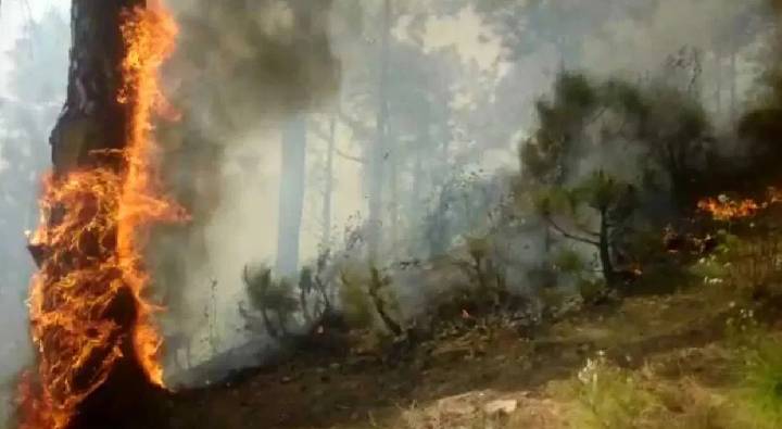 Uttarakhand : గుడిలో దీపం వెలిగించడానికి వెళ్లి .. సజీవదహనమైన వృద్ధుడు