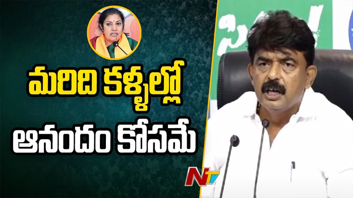 Perni Nani: బీజేపీలో టీడీపీ దొంగలు పడ్డారు.. పురంధేశ్వరిపై పేర్ని నాని ఫైర్