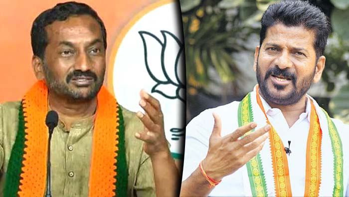 Raghunandan Rao: రేవంత్ లా డ్యుయల్ రోల్ నేను చేయలేను..