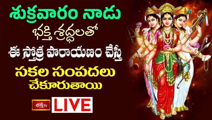 Lakshmi Stotram: సకల సంపదలు చేకూరాలంటే ఈ స్తోత్ర పారాయణం చేయండి