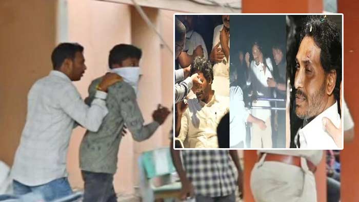 Stone Attack Case