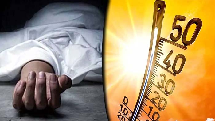 Sunstroke: వడదెబ్బకు ఇద్దరు మృతి.. కొమురం భీంలో ఒకరు, మంచిర్యాలలో మరొకరు..