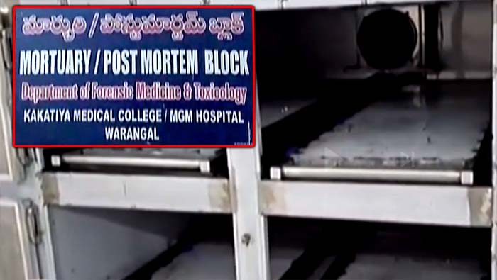 Warangal Mgm Hospatal